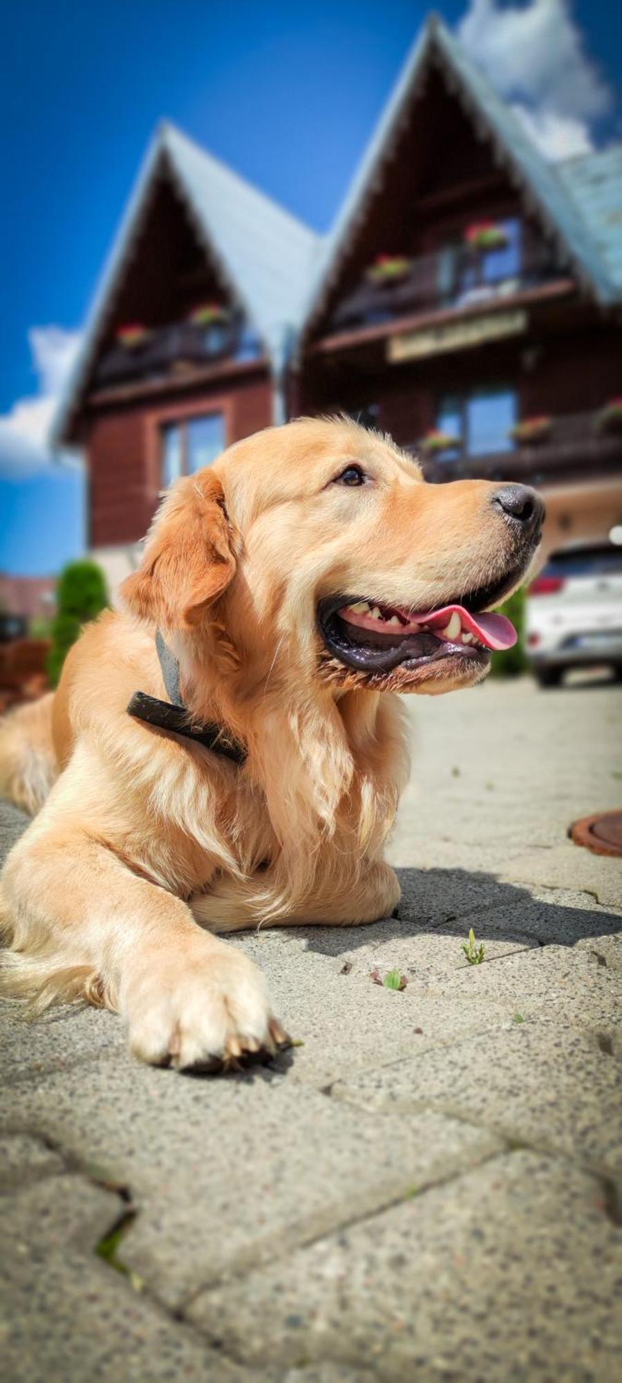 Chata U Bozeny Muszyna Bagian luar foto
